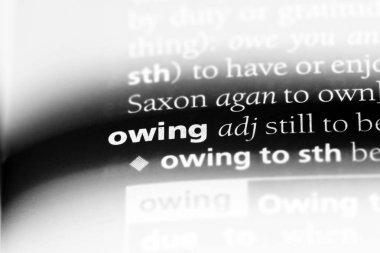 bir sözlüğü'ndeki sözcüğü borçlu. kavramı nedeniyle.