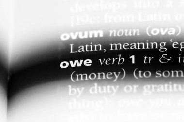 bir sözlüğü'ndeki sözcüğü borçluyum. kavram borçluyum.