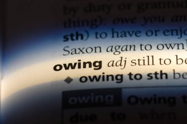 bir sözlüğü'ndeki sözcüğü borçlu. kavramı nedeniyle.