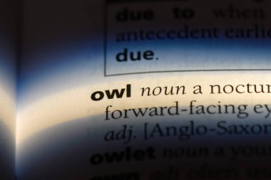 baykuş Word'de bir sözlük. baykuş kavramı.