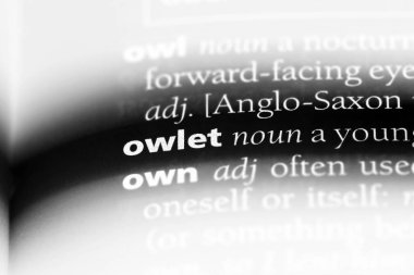 owlet sözcük sözlüğe. owlet kavramı.