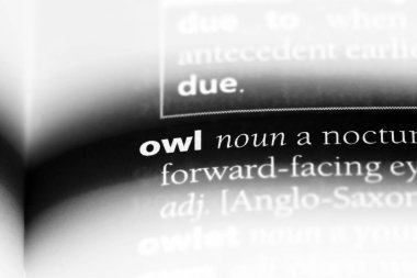 baykuş Word'de bir sözlük. baykuş kavramı.