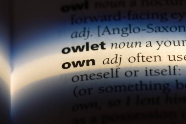 kendi sözcük sözlüğe. kendi kavramı.