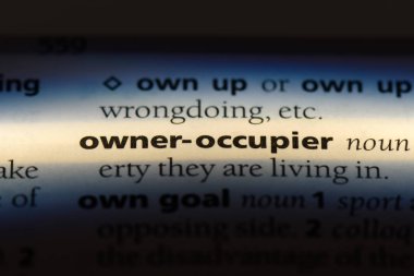 bir sözlüğü'ndeki sahibi işgalci sözcüğü. sahibi işgalci kavramı.