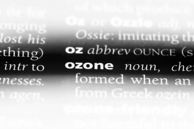 bir sözlüğü'ndeki ozon sözcüğü. Ozon kavramı.
