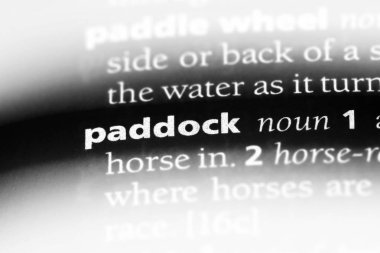 padok Word'de bir sözlük. padok kavramı.