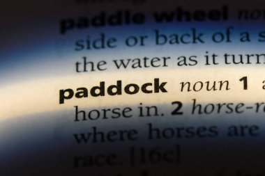 padok Word'de bir sözlük. padok kavramı.