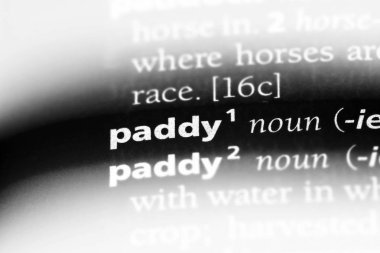 Paddy Word'de bir sözlük. Paddy kavramı.