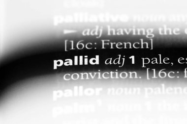 bir sözlüğü'ndeki çizgili sözcüğü. bozkır kavramı.