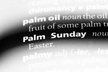 Palm Pazar Word'de bir sözlük. Palm Pazar kavramı.