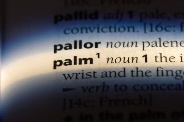 Palm Word'de bir sözlük. Palm kavramı.