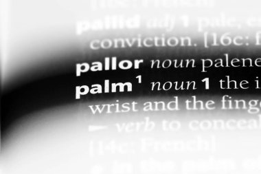 Palm Word'de bir sözlük. Palm kavramı.