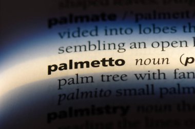 Palmetto Word'de bir sözlük. Palmetto kavramı.