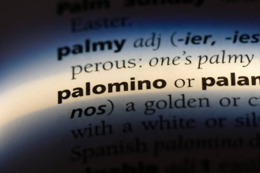 Palomino Word'de bir sözlük. Palomino kavramı.
