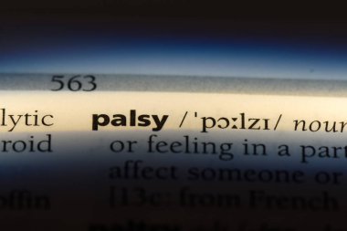 palsi Word'de bir sözlük. palsi kavramı.