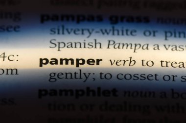 bir sözlüğü'ndeki sözcüğü şımartın. Concept şımartmak.