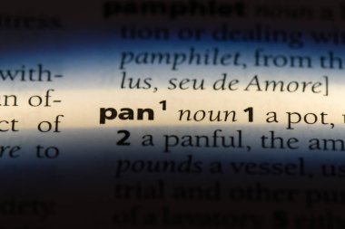 Sözlüğe sözcük kaydır. Pan kavramı.