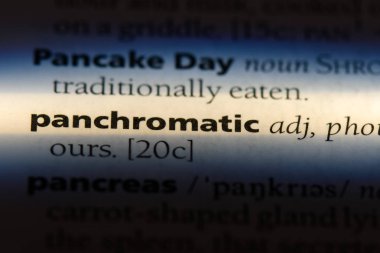 bir sözlüğü'ndeki pankromatik sözcüğü. pankromatik kavramı.