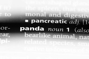 Panda Word'de bir sözlük. Panda kavramı.
