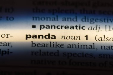 Panda Word'de bir sözlük. Panda kavramı.