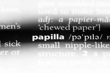 papilla Word'de bir sözlük. papilla kavramı.