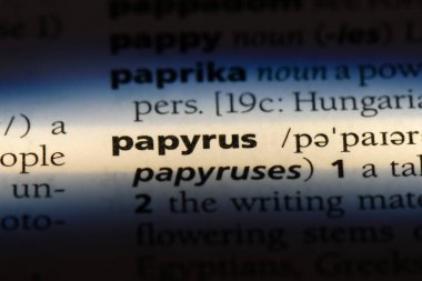 papirüs Word'de bir sözlük. papirüs kavramı.
