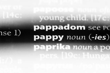 Pappy tek kelimeyle bir sözlük. Pappy kavramı.