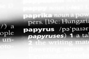papirüs Word'de bir sözlük. papirüs kavramı.