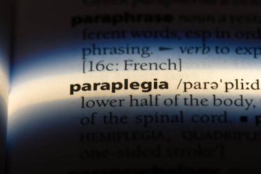 Parapleji Word'de bir sözlük. Parapleji kavramı.