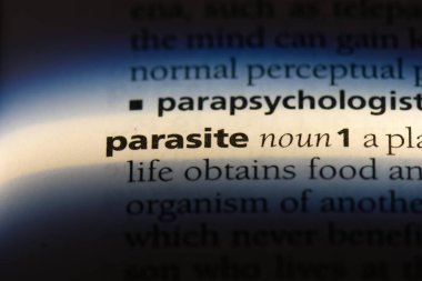 bir sözlüğü'ndeki parazit sözcüğü. parazit kavramı.