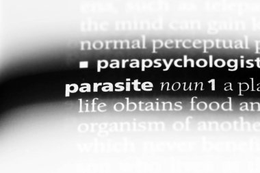 bir sözlüğü'ndeki parazit sözcüğü. parazit kavramı.
