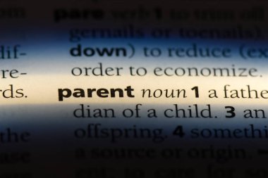 üst sözcük sözlüğe. üst kavramı.