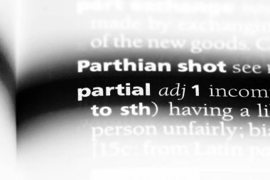 kısmi sözcük sözlüğe. kısmi kavramı.