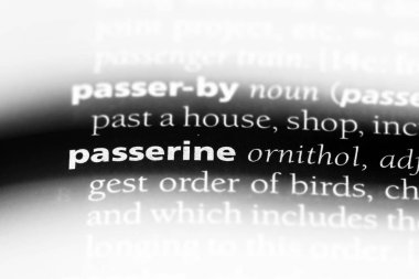 bir sözlüğü'ndeki ötücü sözcüğü. Ötücü kavramı.