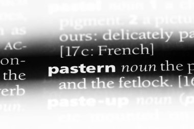 pastern sözcük sözlüğe. pastern kavramı.