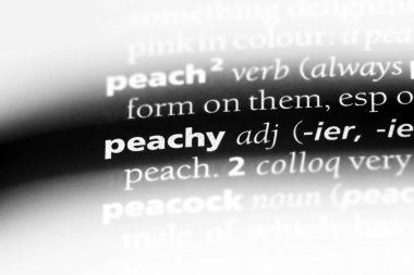 çok güzel tek kelimeyle bir sözlük. çok güzel kavramı.