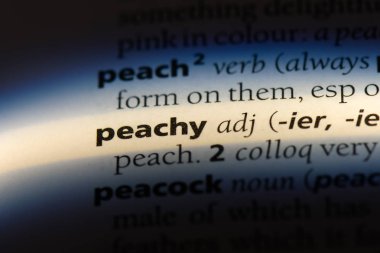 çok güzel tek kelimeyle bir sözlük. çok güzel kavramı.