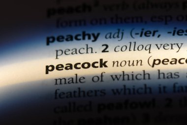 tavus kuşu Word'de bir sözlük. tavus kuşu kavramı.