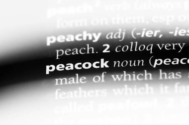 tavus kuşu Word'de bir sözlük. tavus kuşu kavramı.