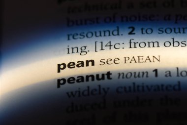 Stan Word'de bir sözlük. Stan kavramı.