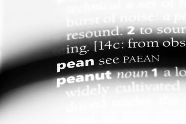 Stan Word'de bir sözlük. Stan kavramı.