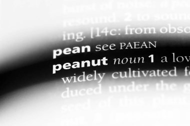 fıstık tek kelimeyle bir sözlük. fıstık kavramı.