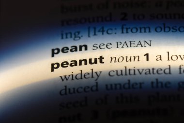 fıstık tek kelimeyle bir sözlük. fıstık kavramı.