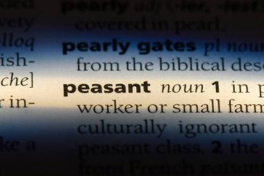 köylü Word'de bir sözlük. köylü kavramı.