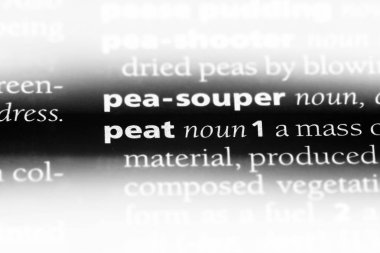 Turba Word'de bir sözlük. Turba kavramı.