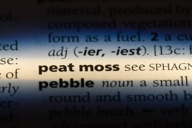 Torf yosun Word'de bir sözlük. Torf yosun kavramı.