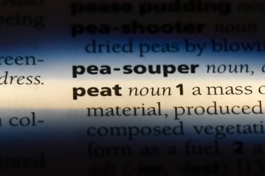 Turba Word'de bir sözlük. Turba kavramı.