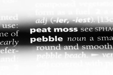 çakıl Word'de bir sözlük. çakıl taşı kavramı.