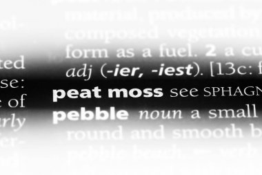 Torf yosun Word'de bir sözlük. Torf yosun kavramı.