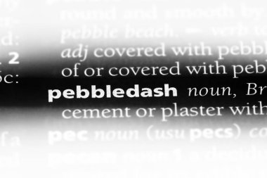 pebbledash sözcük sözlüğe. pebbledash kavramı.